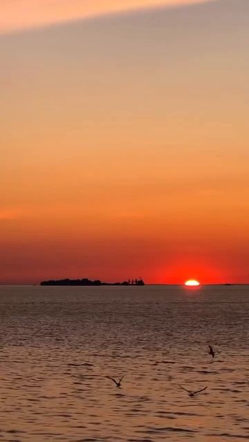 Огненный закат на Финском заливе❤️🔥

Видео: nikitina__marinka