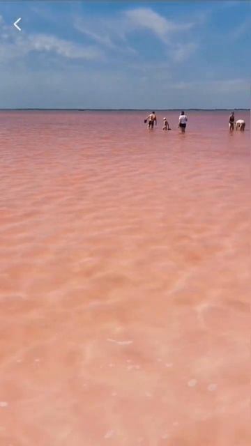 розовое озеро буосоль