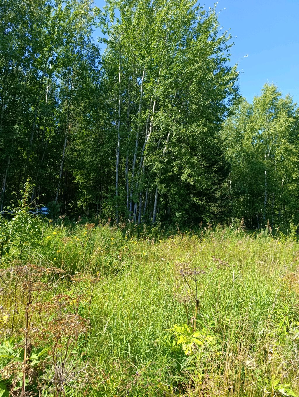 Всем доброго утра☀️☀️☀️