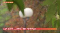 А за окном. 4 августа 2025
