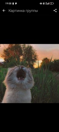 Я ОЖИЛАААААА