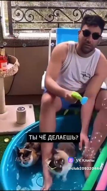 А мы на чиле на расслабоне 😎