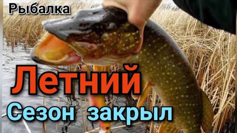 рыбалка,троллинг,закрытие водно моторного сезона  2022 (архив)