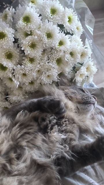 Утро понедельника