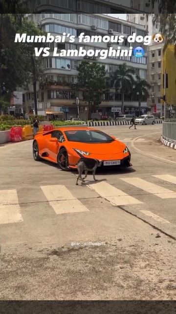 Проверки на дорогах😂