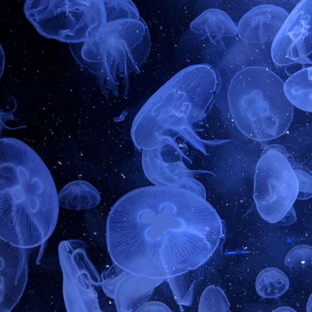 катаемся на роликах