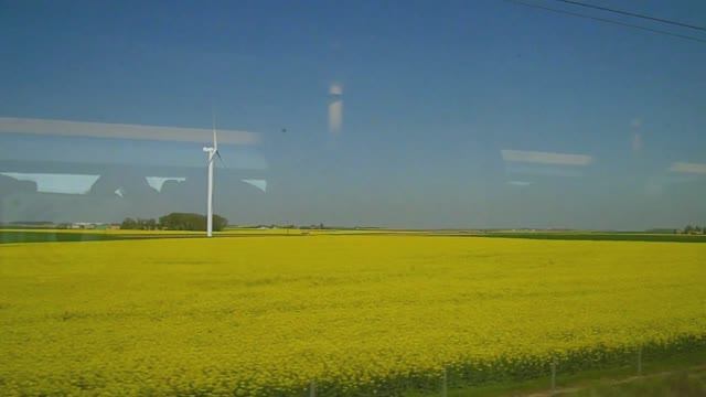 Высокоскоростной поезд во Франции - вид из окна.