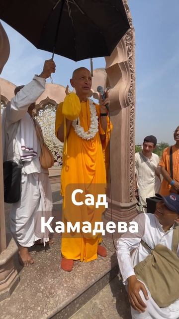 Сад Камадева на Говардхане. Специальное место для медитации брахмачари :)))