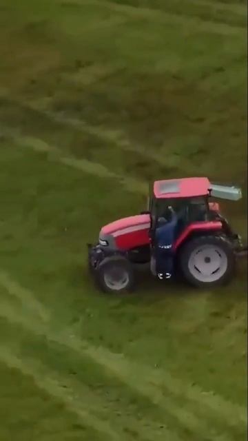 Необычный метод борьбы с цыганами