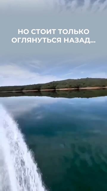 Иногда движения не видно ⬇️