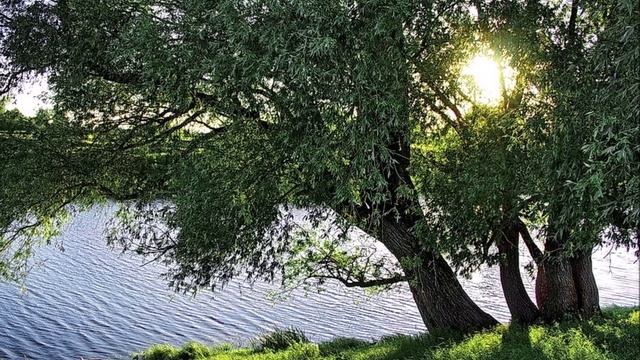 "ЛЕТНЕЙ ПОРОЙ НА РЯЗАНЩИНЕ"... (Фото Игоря БАРАНОВА (Рязань), музыка Анатолия ЛЯДОВА (1855-1914))