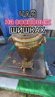 Чай из самовара на сосновых шишках 👍