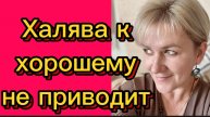 Халява к хорошему не приводит 🤣Деревенский дневник.