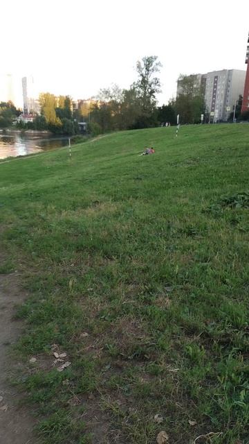 Спуск к Неве, окраина Петербурга, 3 августа 2025.