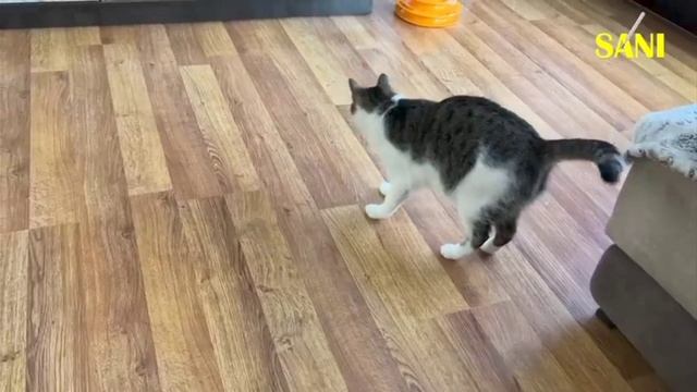 Дядя Петя ты дурак??? 😂😂😂