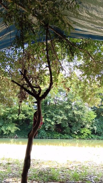 То, что ты ищешь, ищет тебя