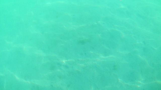 ПУТЕШЕСТВИЕ ПО МИРУ. АБУ-ДАБИ. УТРО ПЛЯЖ. 20.09.24