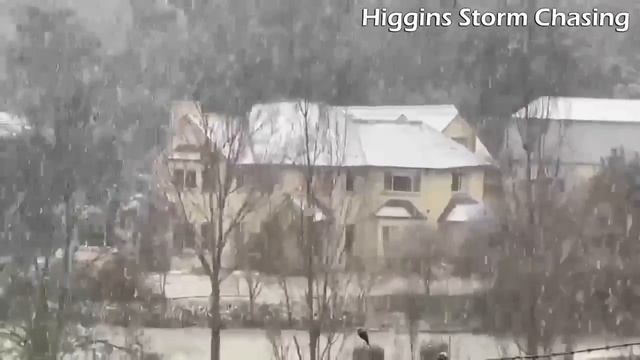 Австралию накрыл сильный снегопад.