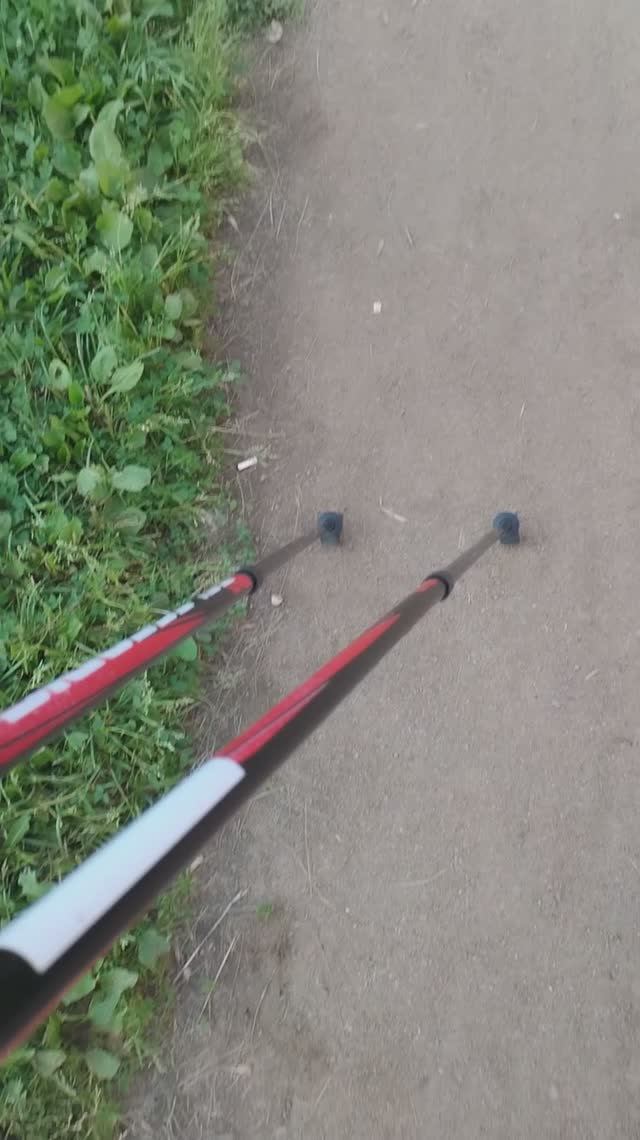 Теплый летний вечер, скандинавская ходьба, 3 августа 2025.