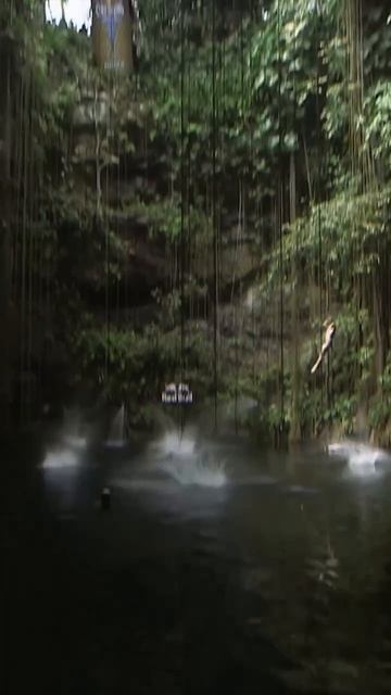 Прыжки в воду.MP4