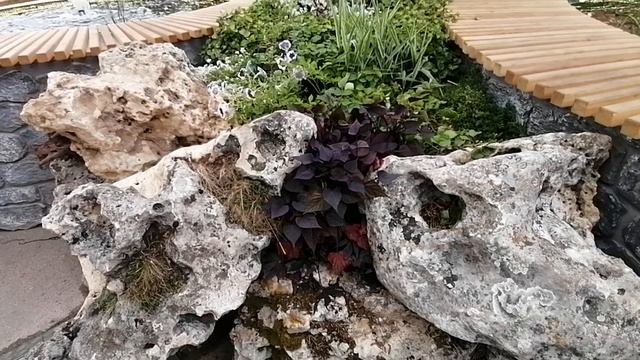 4 июнь 2024.Гуляем по центру.