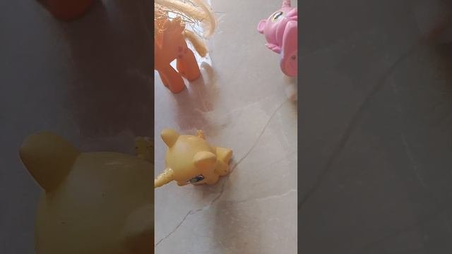 1000003156.mp4