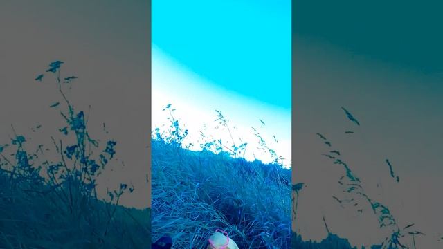 утро в деревне Кашина