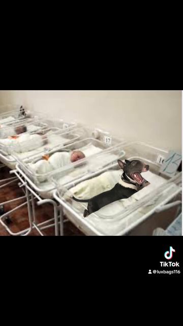 Еще как родная