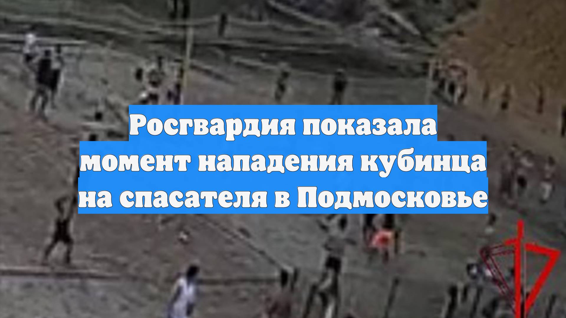Росгвардия показала момент нападения кубинца на спасателя в Подмосковье