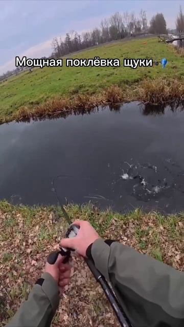 Мощная поклевка щуки 🎣