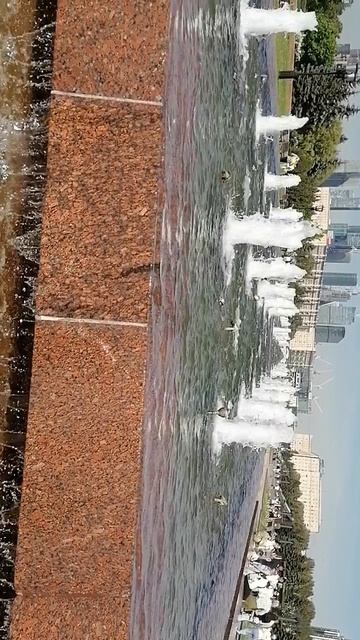 24 мая 2024г.Москва. ПАРК ПОБЕДЫ.