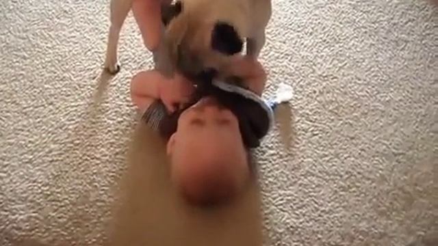 МАЛЫШ И МОПС ВЕСЕЛЯТСЯ))) СМОТРЕТЬ ВИДЕО ПРИКОЛЫ 2025 ОНЛАЙН ЮМОР