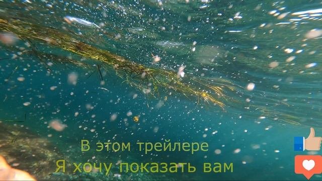 Трейлер канала