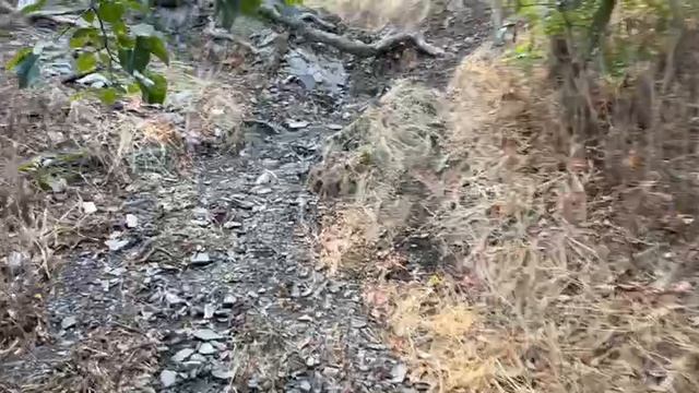 4 августа 2025 7:45 Большой Утриш. Рассказывает Иван-историк.