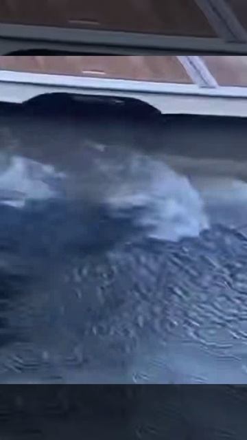 Знакомьтесь вновь назначенный прокурор столицы США Жанин Пирро