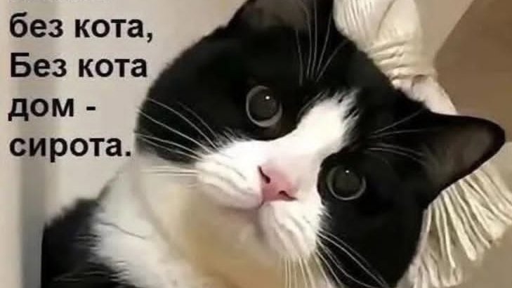 Жорке скучно