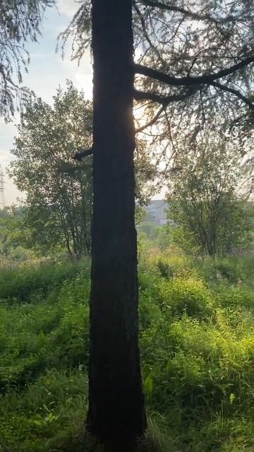 ИЗМЕНЯЯ РЕАЛЬНОСТЬ#shorts