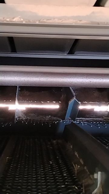 Утро и ёжики 🦔😁