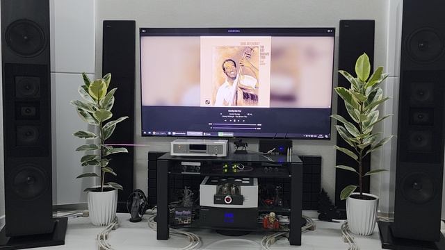 Dunlavy SC-IV / Pathos Logos mk2 + HiDac / Audirvâna.mp4