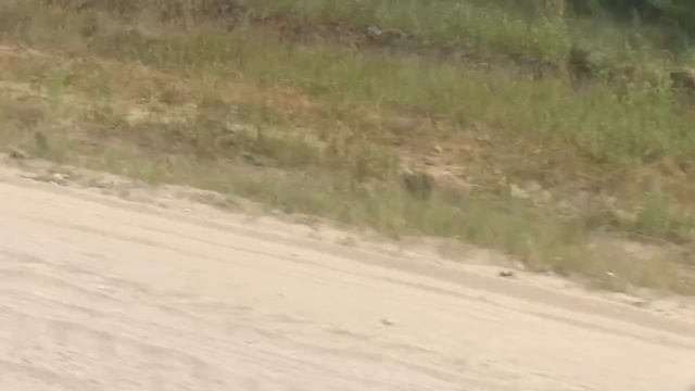 549627198_456240719.mp4