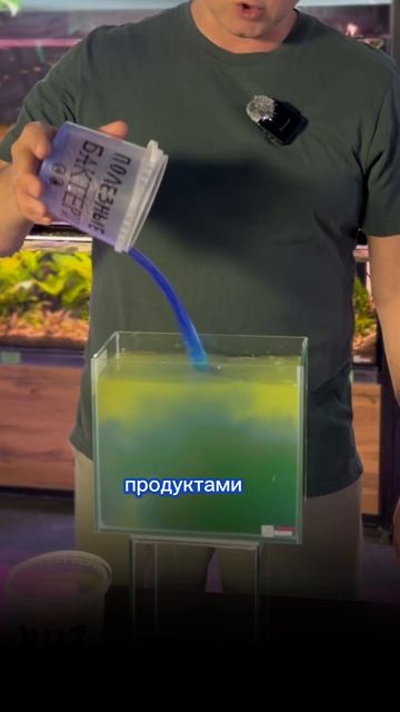 ПОЧЕМУ НУЖНО ЖДАТЬ ПЕРЕД ЗАСЕЛЕНИЕМ РЫБОК