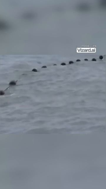 Уезжать не хотелось_ момент прощания с отпуском