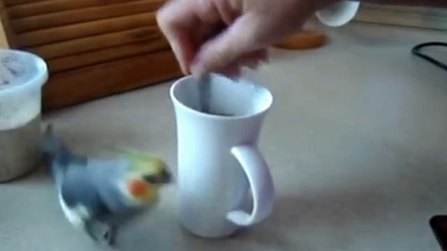 Кофе хочу! I want coffee!