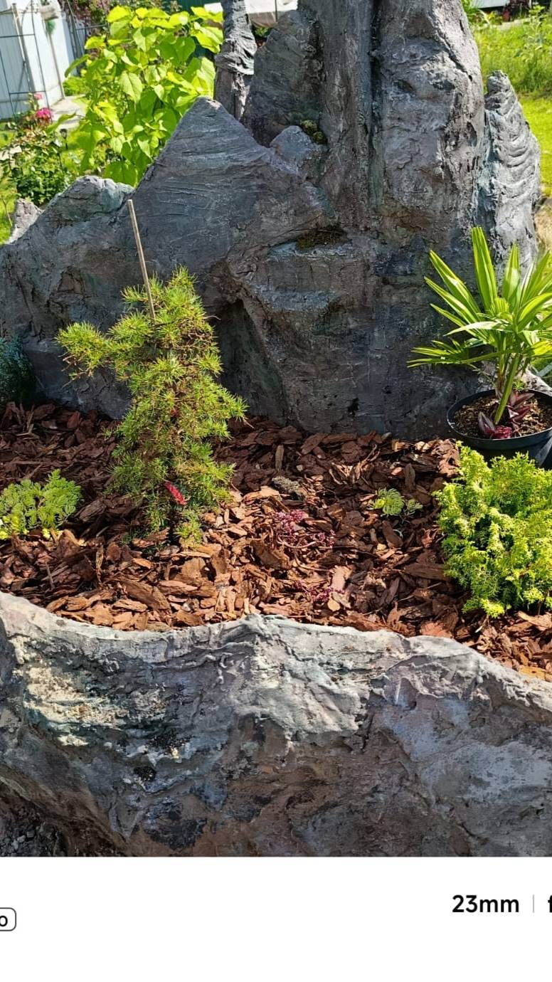 Скалы на садовом участке в Подмосковье 6
