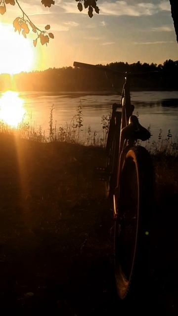 Какой вид‼️