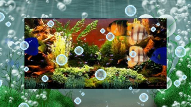 Ускользнувшее счастье