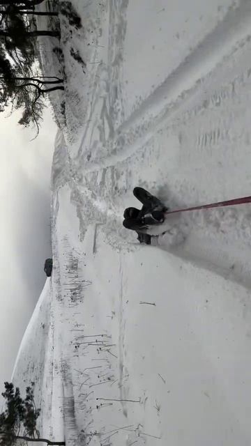 В ДАГЕСТАНЕ ВЫПАЛО ОЧЕНЬ МНОГО СНЕГА!!!