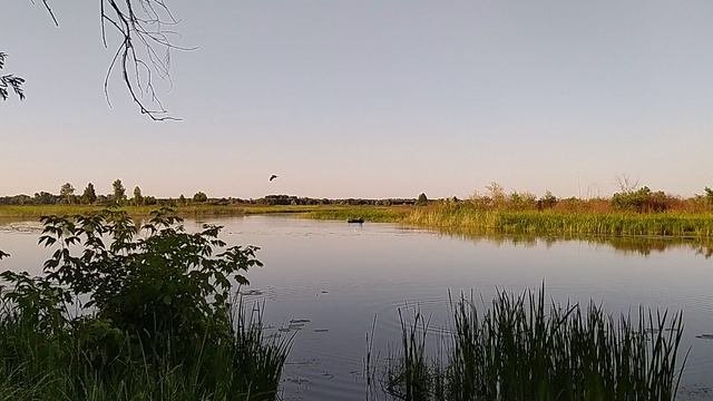 Однажды на рыбалке