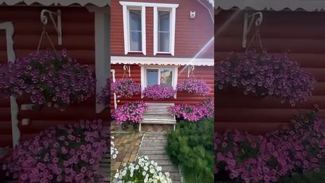 Цветочный двор в Питере