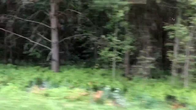 549627198_456240742.mp4